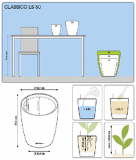 office plants